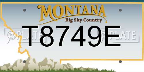 T8749E Montana License Plate