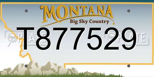 T877529 Montana License Plate