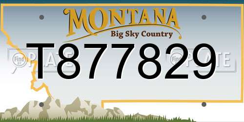 T877829 Montana License Plate