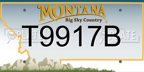 T9917B Montana License Plate