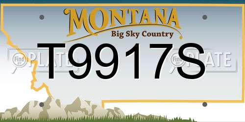 T9917S Montana License Plate