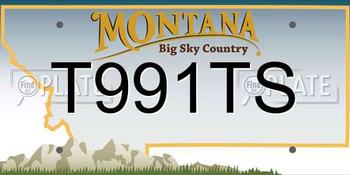 T991TS Montana License Plate