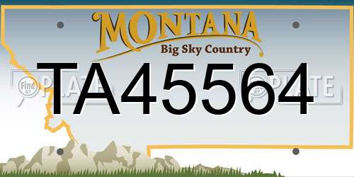 TA45564 Montana License Plate