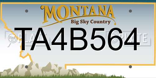 TA4B564 Montana License Plate