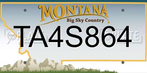 TA4S864 Montana License Plate
