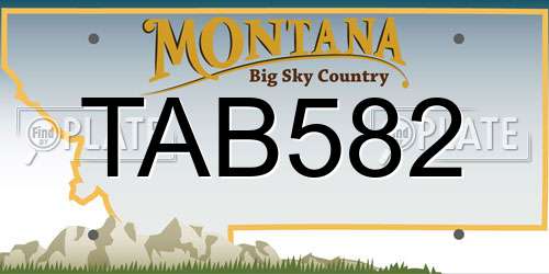 TAB582 Montana License Plate