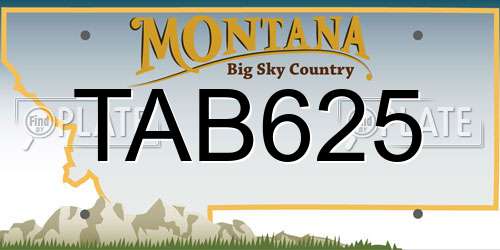 TAB625 Montana License Plate