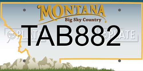 TAB882 Montana License Plate