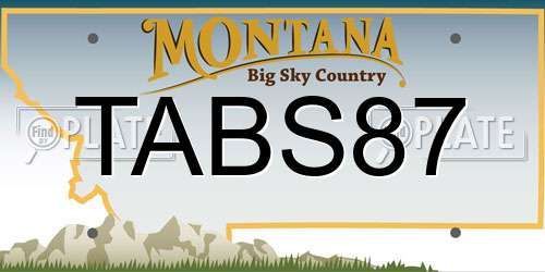 TABS87 Montana License Plate