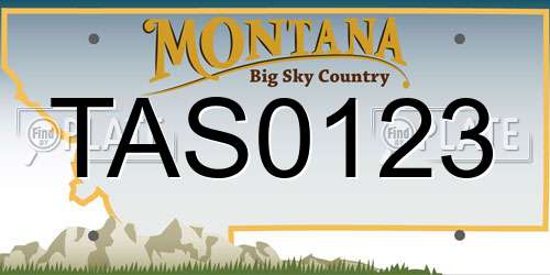 TAS0123 Montana License Plate