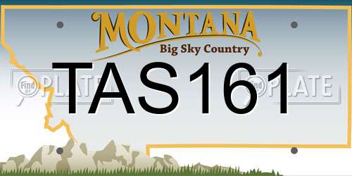 TAS161 Montana License Plate