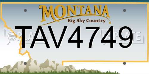 TAV4749 Montana License Plate