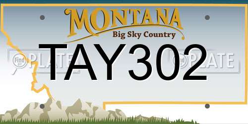 TAY302 Montana License Plate