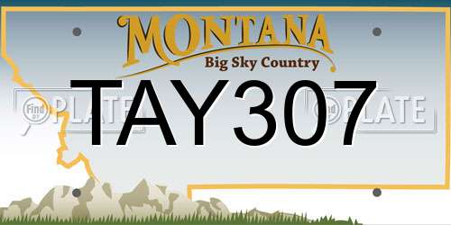 TAY307 Montana License Plate