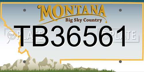 TB36561 Montana License Plate