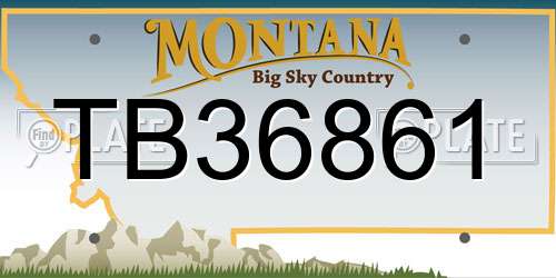 TB36861 Montana License Plate