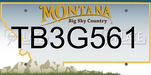 TB3G561 Montana License Plate