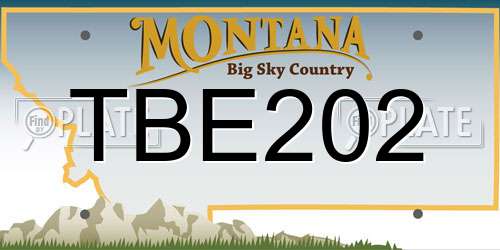TBE202 Montana License Plate