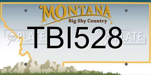 TBI528 Montana License Plate
