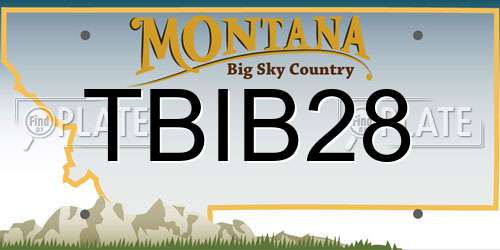 TBIB28 Montana License Plate