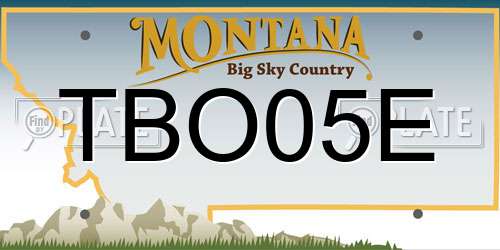 TBO05E Montana License Plate