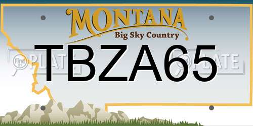 TBZA65 Montana License Plate
