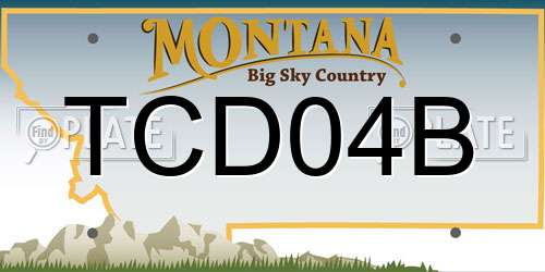 TCD04B Montana License Plate
