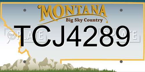 TCJ4289 Montana License Plate