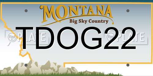 TDOG22 Montana License Plate