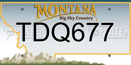 TDQ677 Montana License Plate