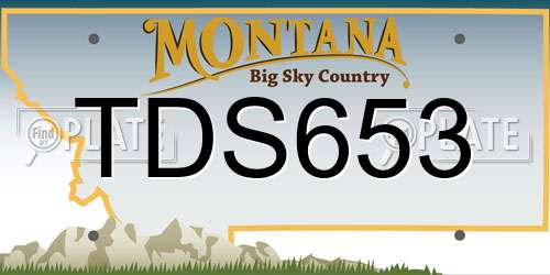 TDS653 Montana License Plate