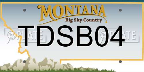 TDSB04 Montana License Plate