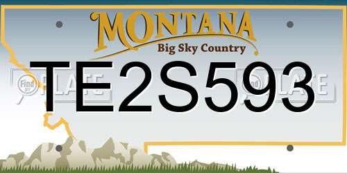 TE2S593 Montana License Plate