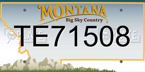 TE71508 Montana License Plate