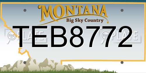 TEB8772 Montana License Plate