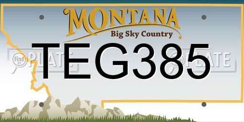 TEG385 Montana License Plate