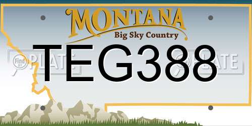 TEG388 Montana License Plate