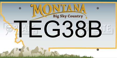 TEG38B Montana License Plate