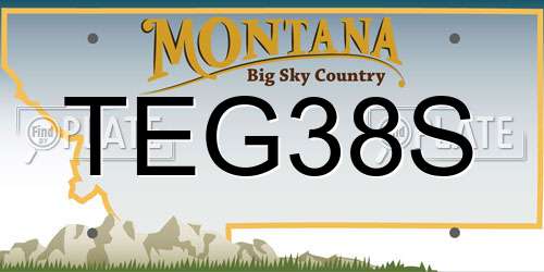 TEG38S Montana License Plate