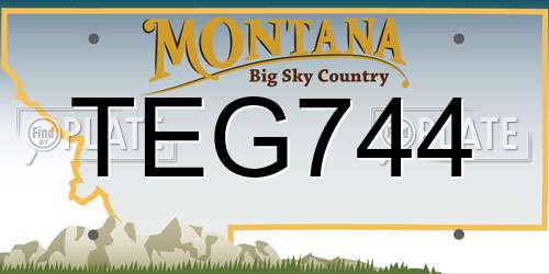 TEG744 Montana License Plate