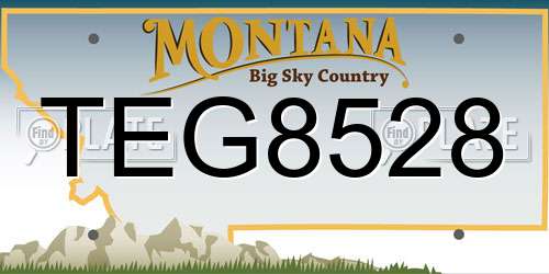 TEG8528 Montana License Plate
