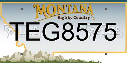 TEG8575 Montana License Plate