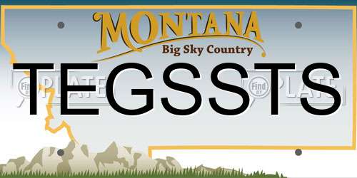 TEGSSTS Montana License Plate