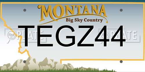 TEGZ44 Montana License Plate