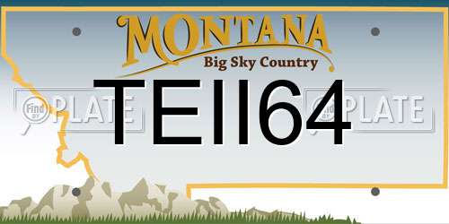 TEII64 Montana License Plate