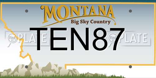 TEN87 Montana License Plate