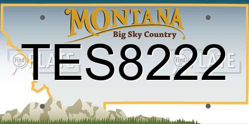 TES8222 Montana License Plate