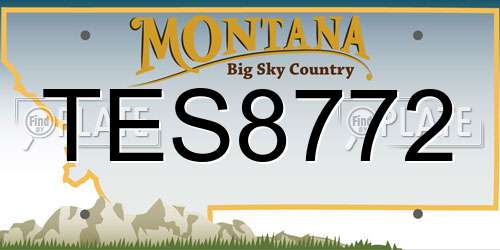 TES8772 Montana License Plate