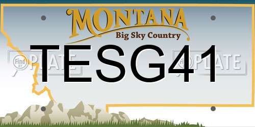 TESG41 Montana License Plate
