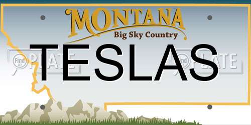 TESLAS Montana License Plate